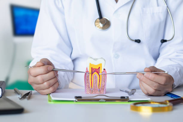 Best Emergency Wisdom Tooth Extraction in Hermitage, PA